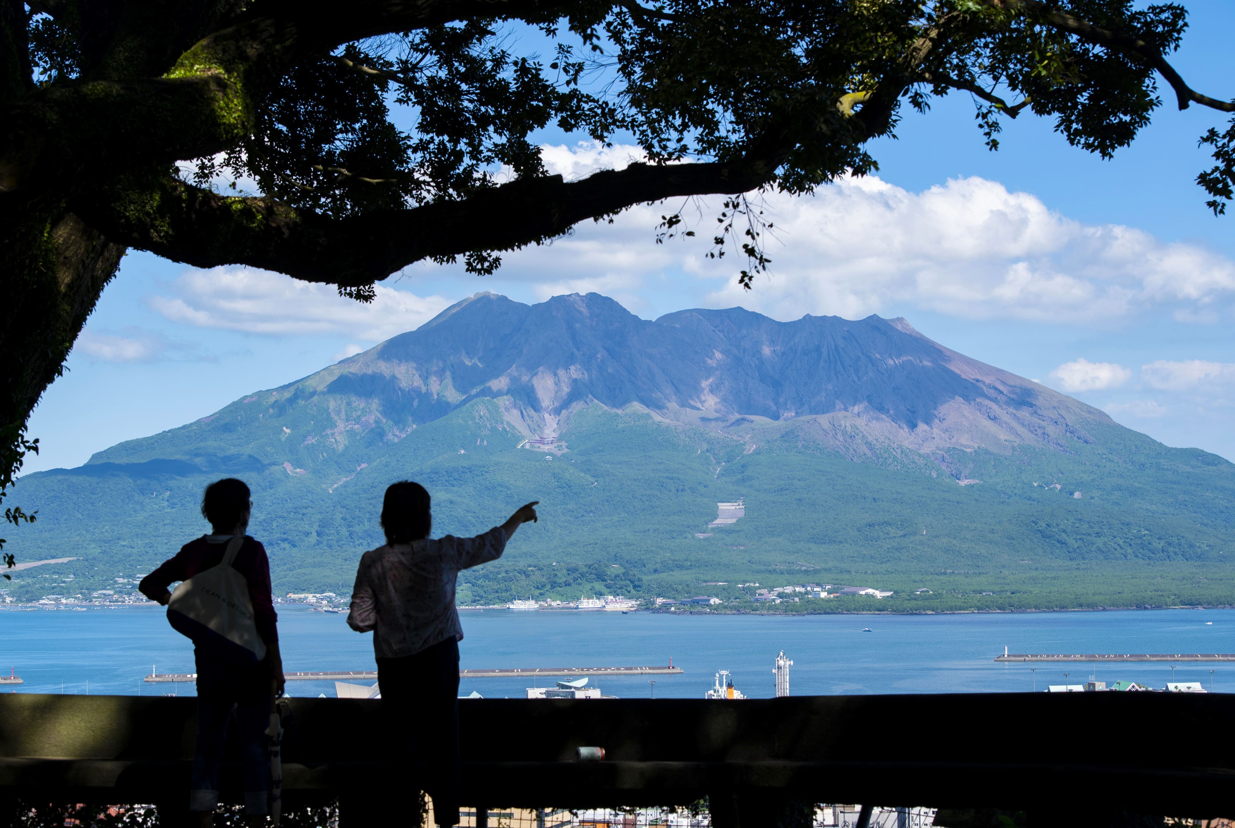 【オンライン】「稼ぐ観光の実現」をビジョンとする鹿児島市DMO戦略を学べるプラン