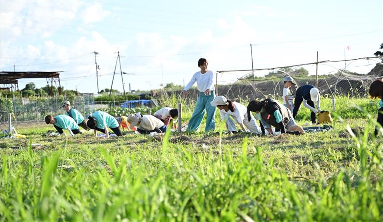 対人関係診断と農業体験を組み合わせた心身健康回復支援プログラム「リフレッシュファーム」