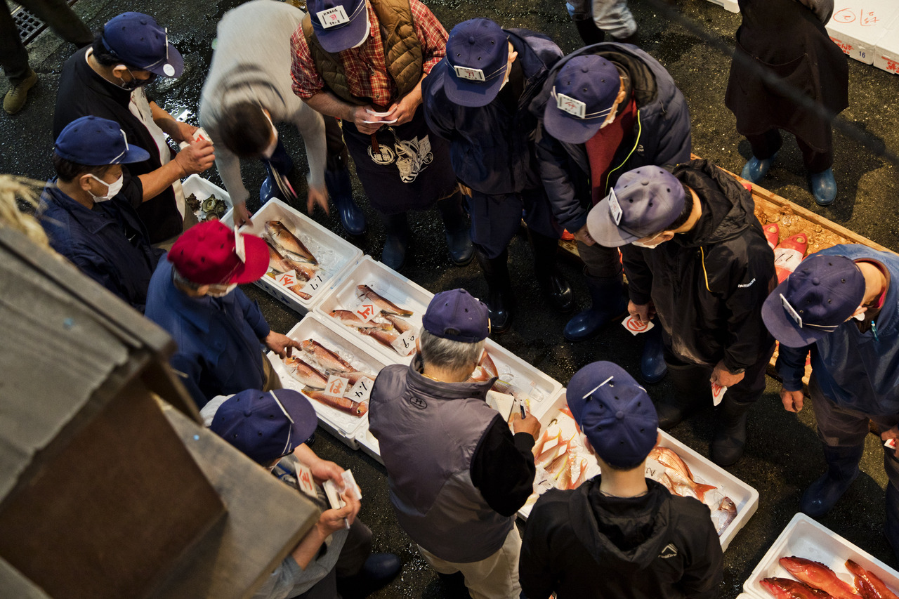 熱海の海から持続可能な地域経済循環を学ぶ。水産資源の現状と気候変動を知る地方卸売市場視察研修