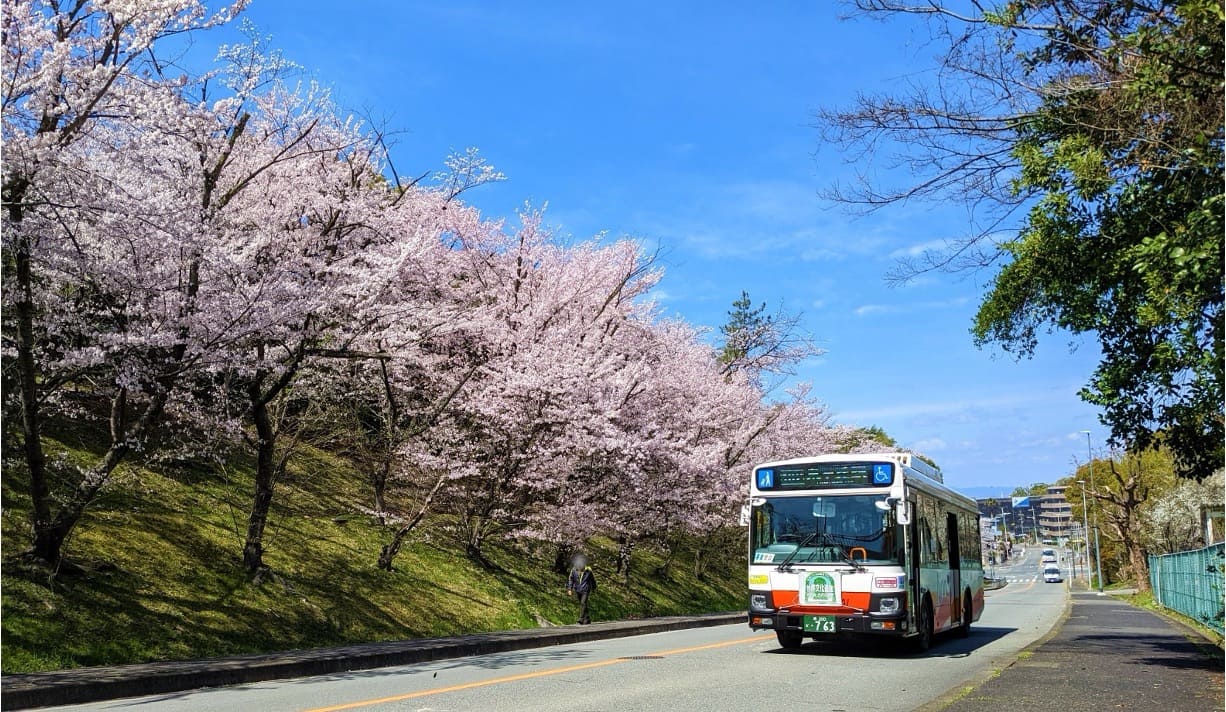 OSF職場見学｜普通車MT歓迎！地域を支える南海バスGの運転体験・会社見学会